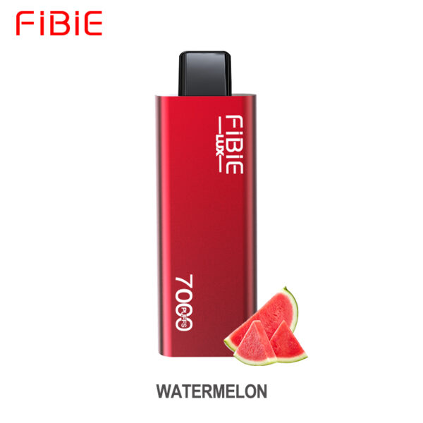 Wholesale Vape Pen 7000 Puffs Disposable Fibie Disposable Factory Wholesale Price.